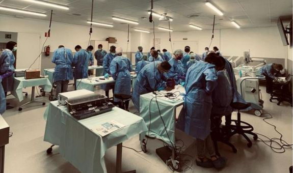 Actividad práctica: Laboratorio de Anatomía de la UAL